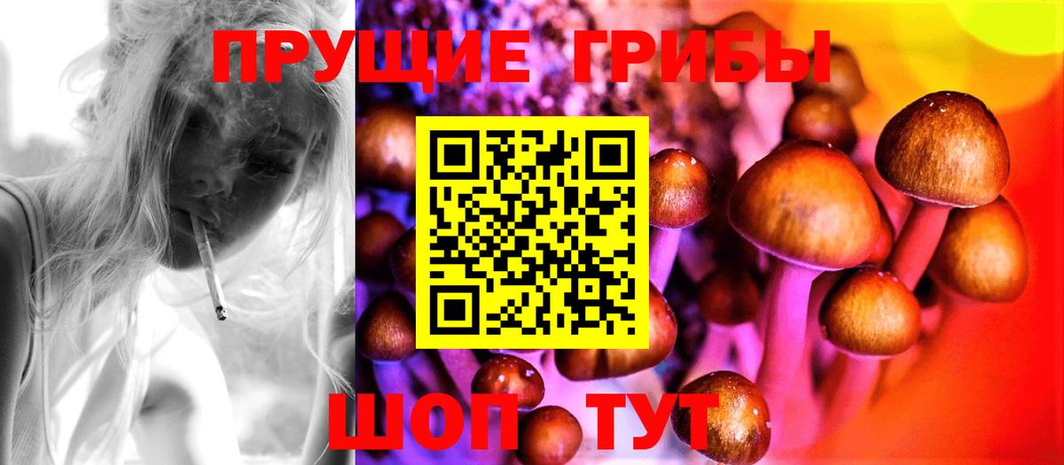 Карачаевск  Галлюциногенные грибы прущие грибы  Вход с VPN 